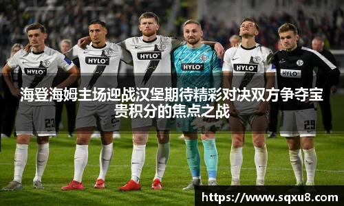 海登海姆主场迎战汉堡期待精彩对决双方争夺宝贵积分的焦点之战